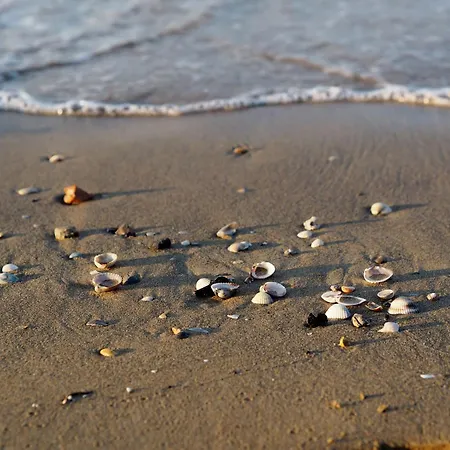 Apartment Oceanview With Two Terraces Bibione